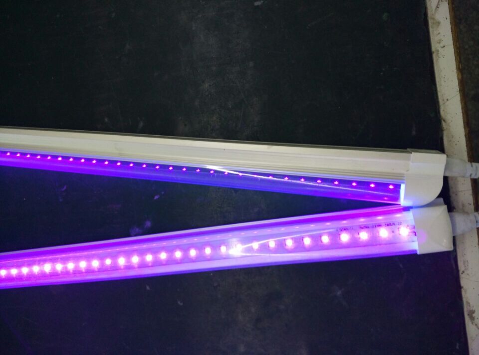 T8 Full Spectrum LED Grow Lights Tube 1200mm for Hydroponic Lettuces