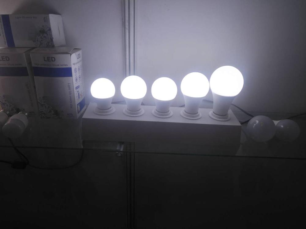 LED BULBS