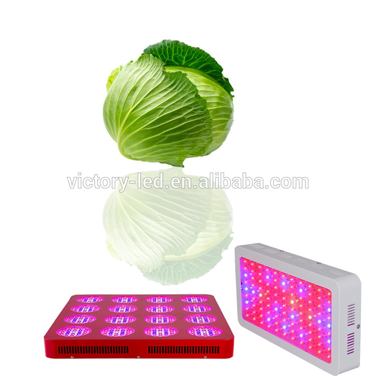 Full spectrum plant light panel 300w led grow light for indoor garden