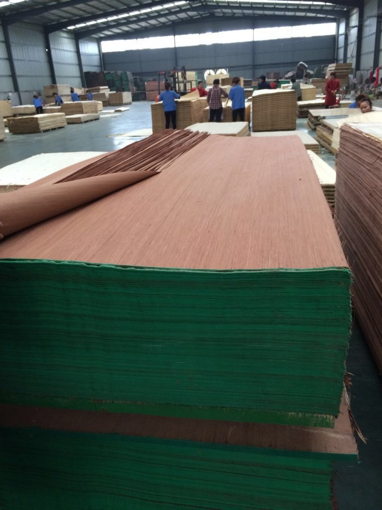 Engineered white wood veneer keruing face veneer For Indian Plywood Manufacturing