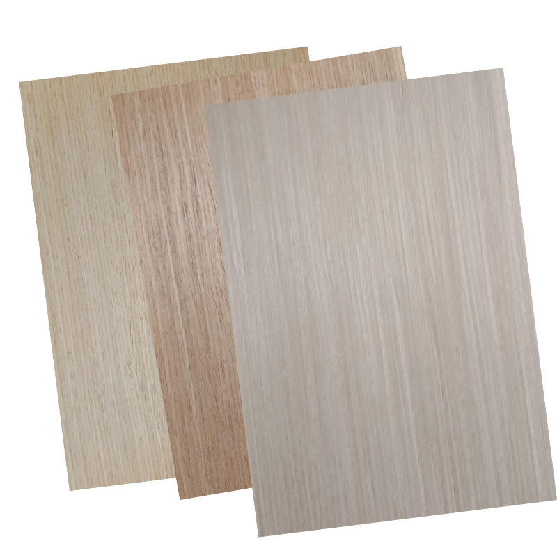 High quality melamine double door skin exterior to jordan