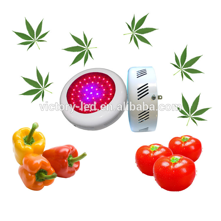 New Hot Sell 16 Bands 1000w Grow Led Lights for Greenhouse