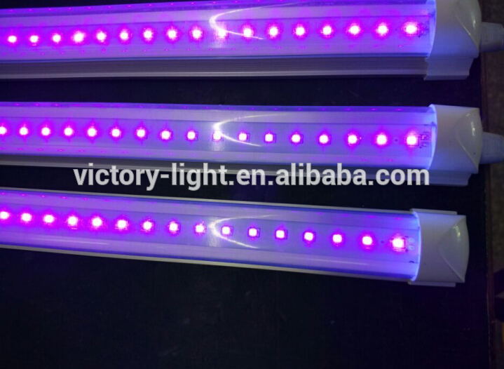 Newest Uv Germicidal Lamp 4Ft Integrated Led Uv Ultraviolet Tube Lights Uv Led Tube For Sterilizer