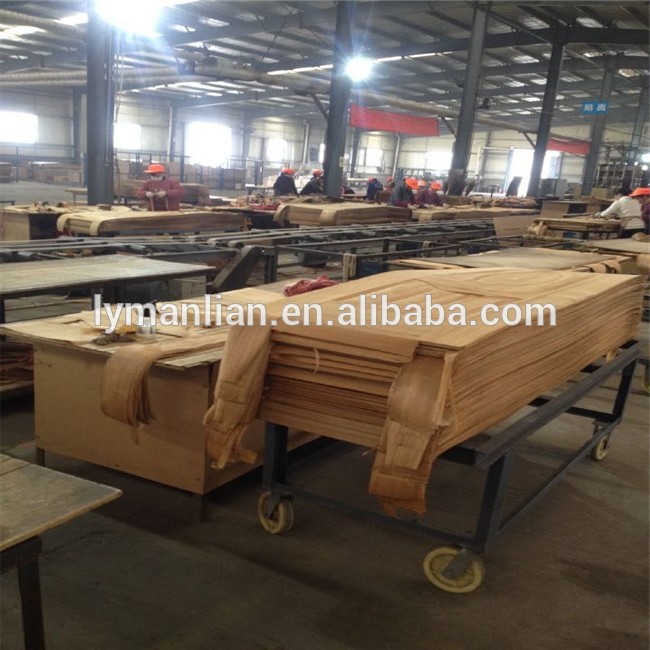 unfinished solid wood interior doors