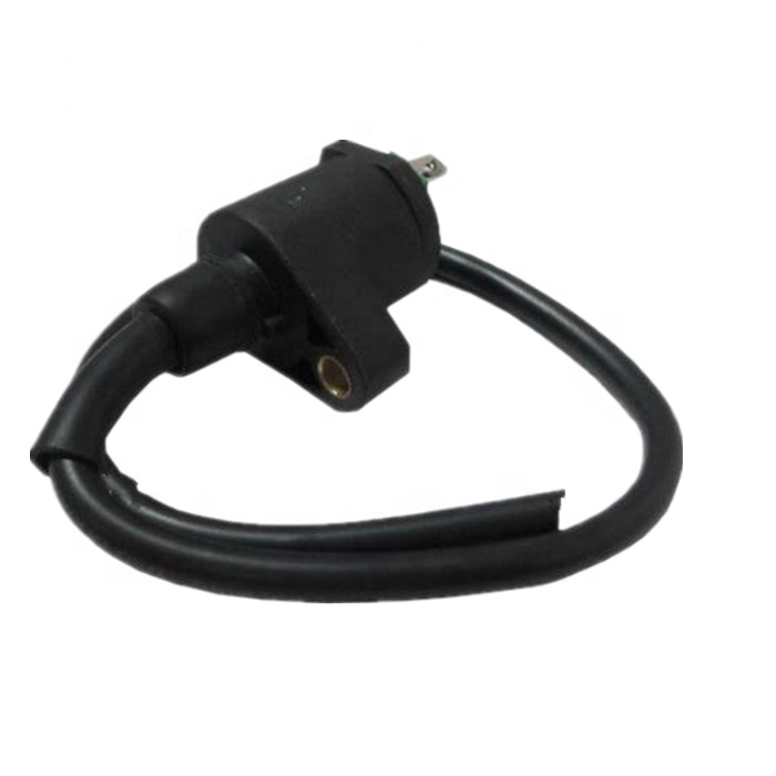 Good Quality GX6 Ignition Coil Pack for Motorcycles