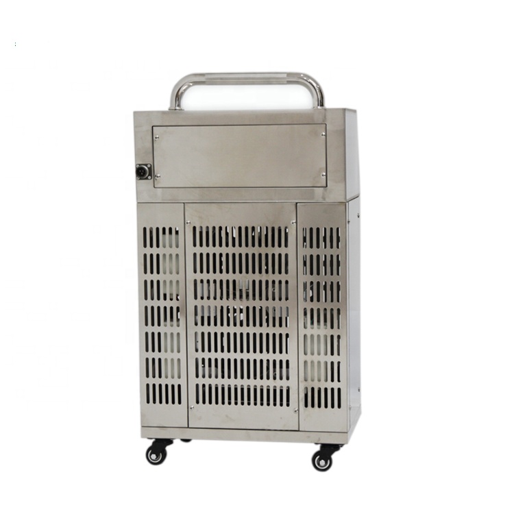 Portable Mobile 30grams Ozone Generator For Mould And Smoke Remove