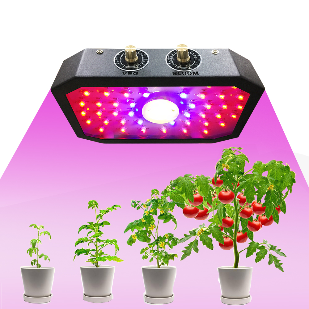 1000W Black Full Spectrum COB Indoor LED Plants Hydroponics Grow Lights for Indoor Plant Grow Lamp