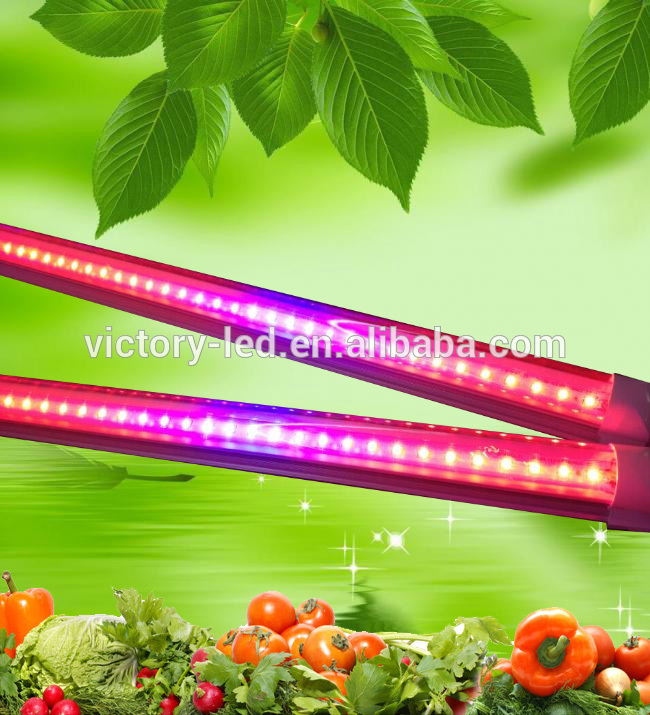 Energy saving 4ft 20w G13 Integrated Greenhouse Hydroponics light tube Grow led light