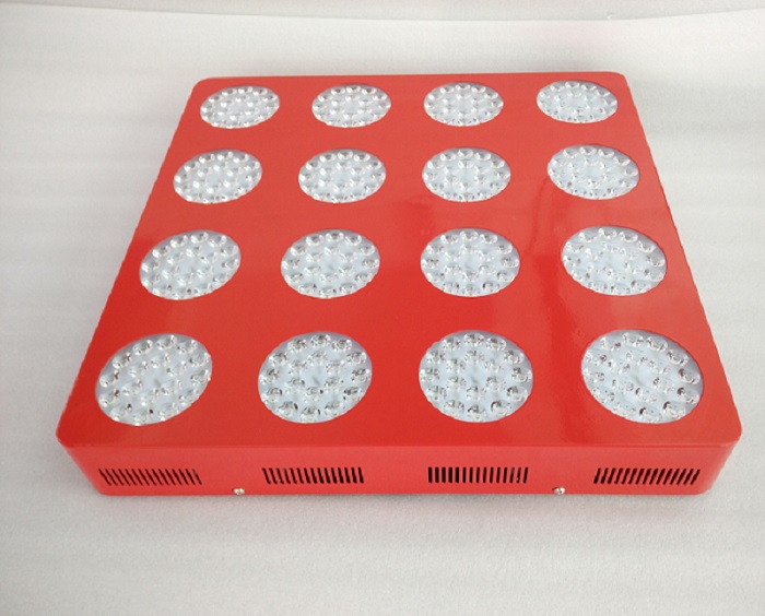 High Lumen 1000W Led Grow Lights 800W Led Grow Light Full Spectrum