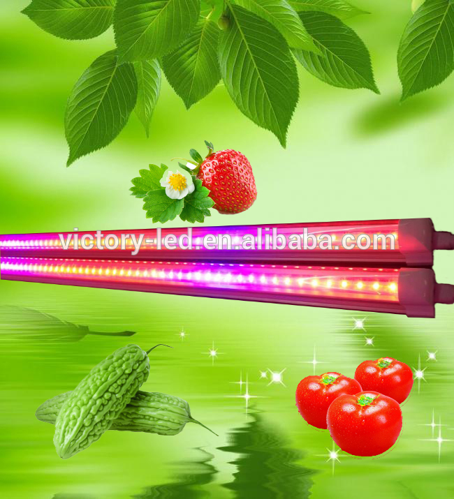 Professional design 1200m 18w t8 led plant grow light tube