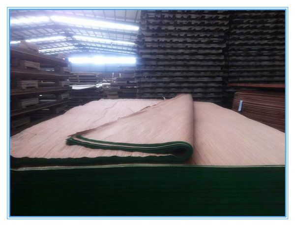 engineered wood  veneer white recon veneer sheet decorative veneer for plywood