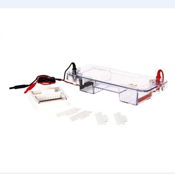 Medical Lab Electrophoresis Machine With Cell