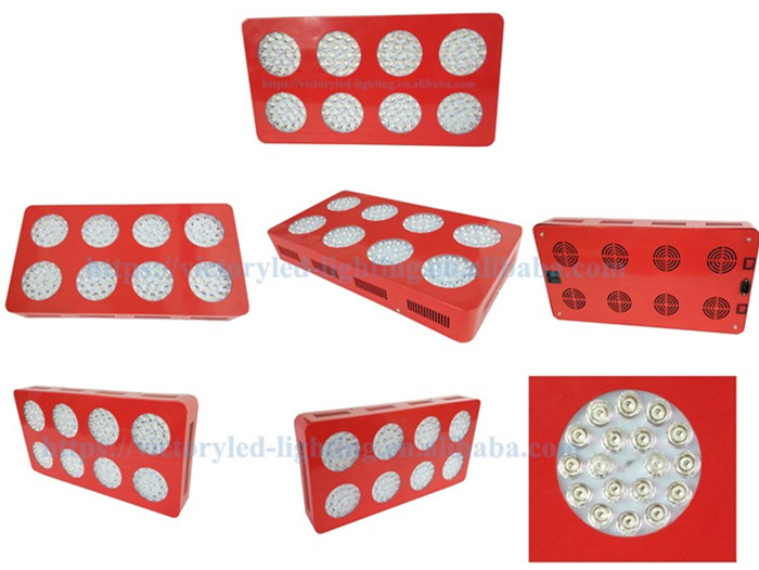 Indoor Led Light Plants 600 W Led Growing Light Full Spectrum Made In China