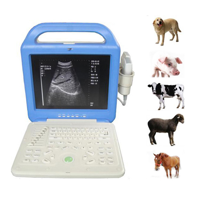 pet digital laptop ultrasound machine price scanner WT-51353ALCD