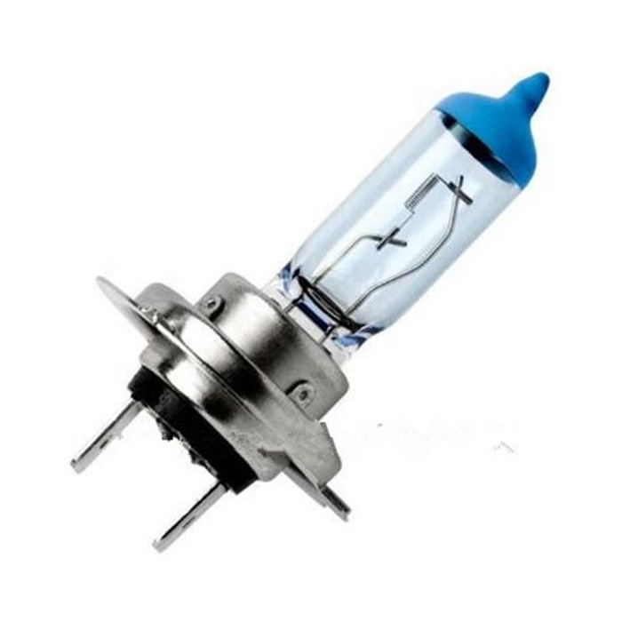 Supplier of automotive bulbs PX26d 12V 55W H7 halogen  bulb