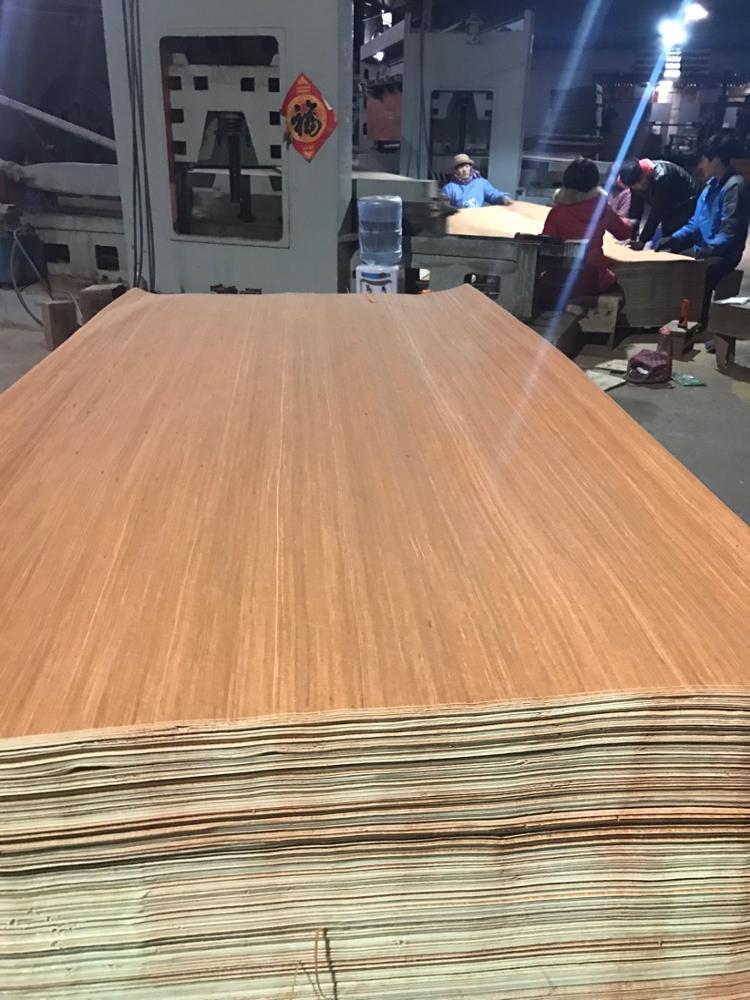 2018 new fashion design exotic wood veneer