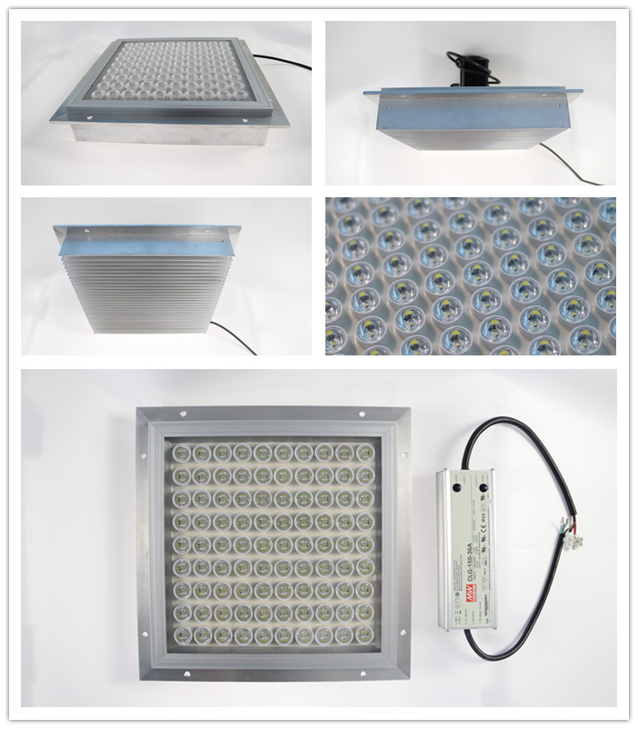 IP65 Gasoline 100W Heat Sink Led Canopy Light With Meanwell Driver
