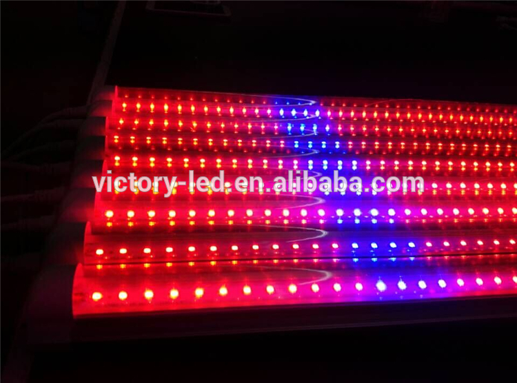Promotion hydroponic 4ft Led tube light T8 18w led grow light
