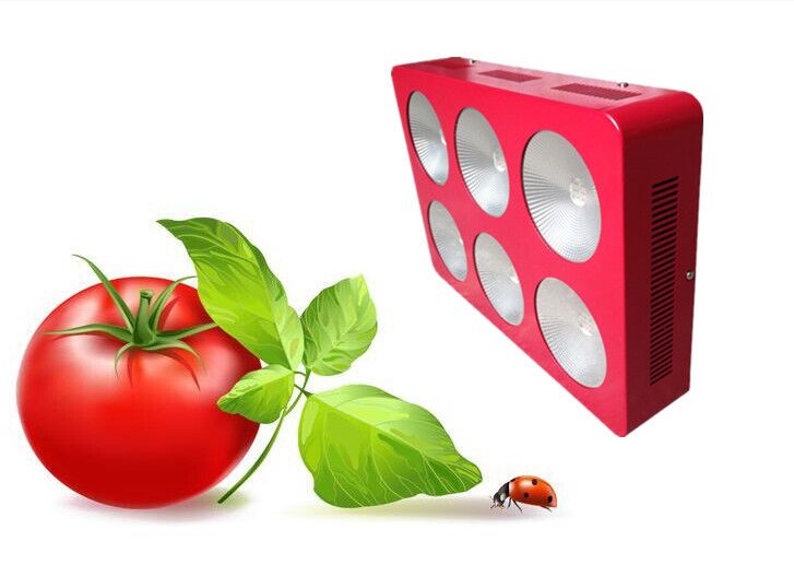 Customized High Power 600W 800W 1200W Cob Led Grow Light Full Spectrum Manufacturer