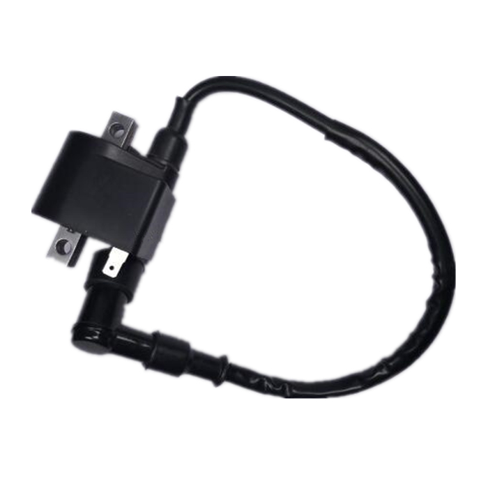 Motorcycle AX100 Ignition Coil for motorcycle AX100 parts
