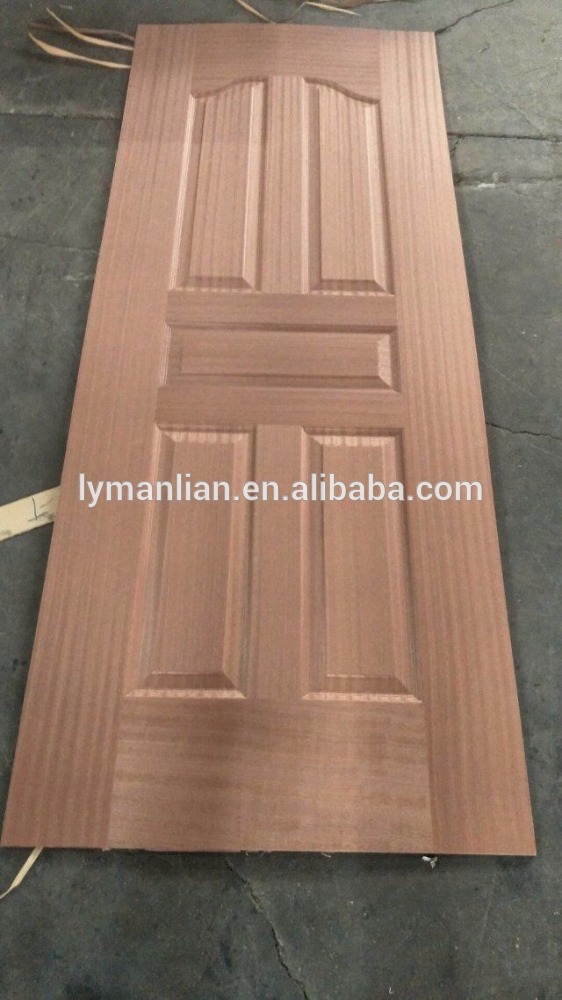 Indian house main gate designs thin brick veneer door skin