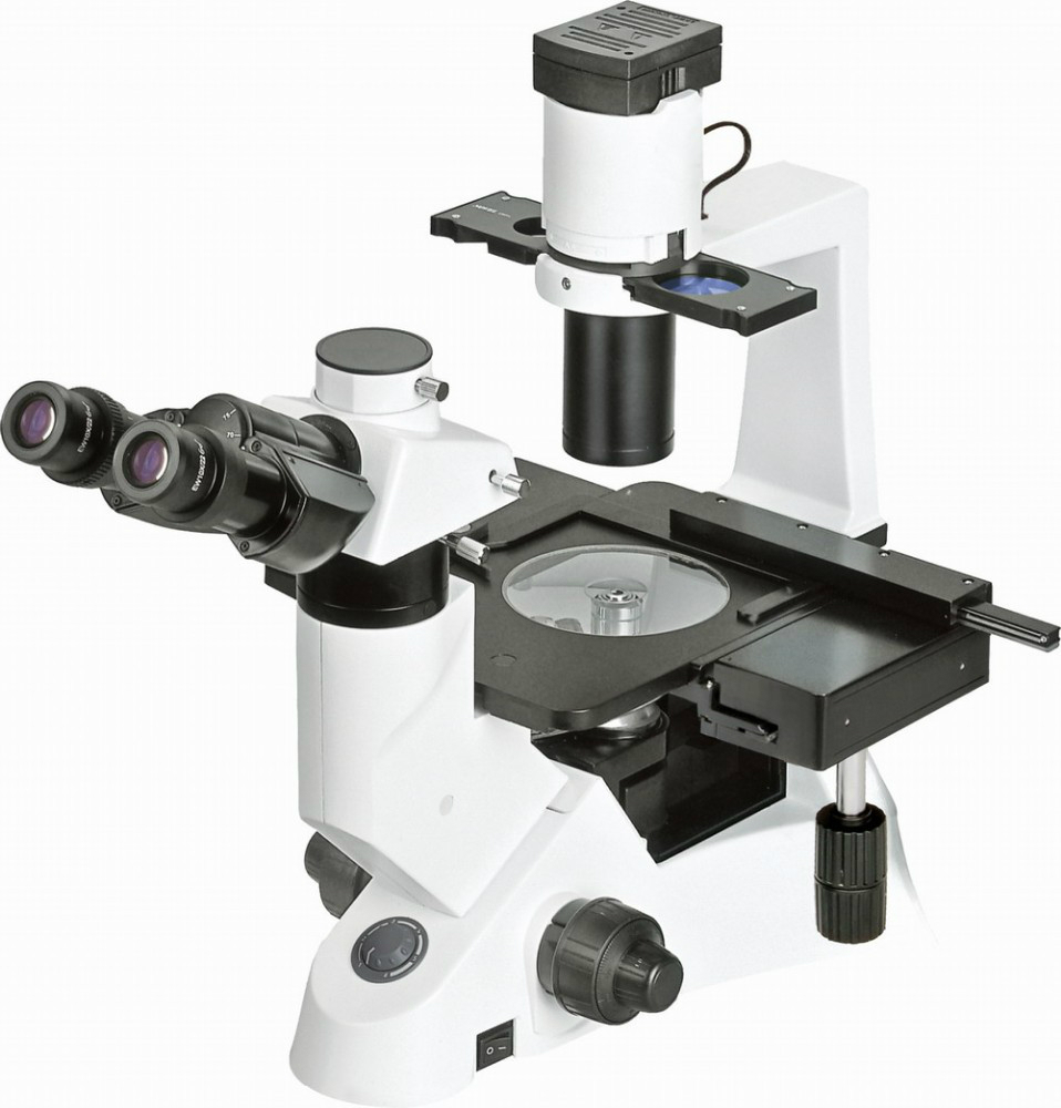 Portable /Benchtop Lab Compound Biological Inverted Microscope/NIB-100/XDS-403 Laboratory Biological Microscope