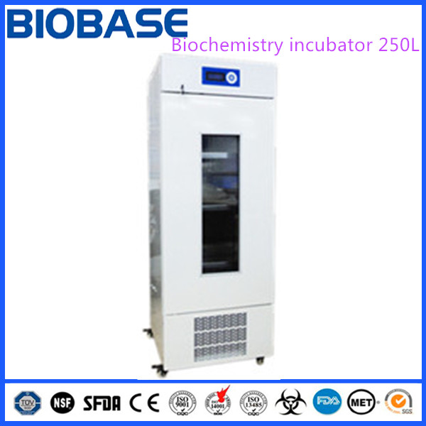 250L Laboratory bacteriological incubator, biochemistry Incubator with LCD display