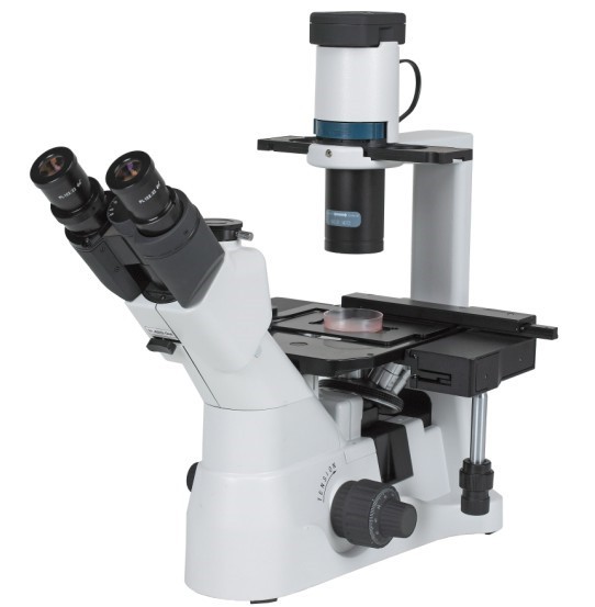 Trinocular Head Inclined Inverted Microscope