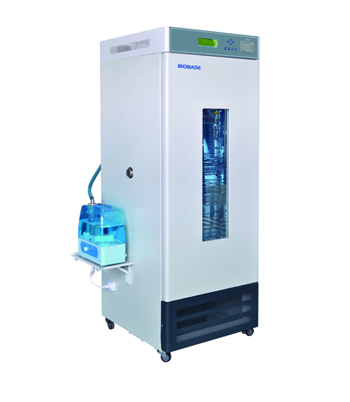 Laboratory Mould Cultivation Cabinet humidity incubator